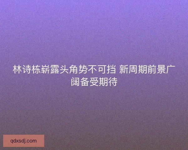 林诗栋崭露头角势不可挡 新周期前景广阔备受期待
