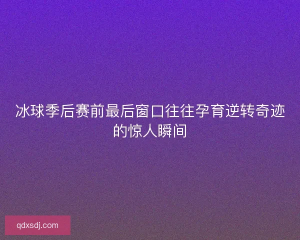 冰球季后赛前最后窗口往往孕育逆转奇迹的惊人瞬间 冰球季后赛前最后窗口往往孕育逆转奇迹的惊人瞬间